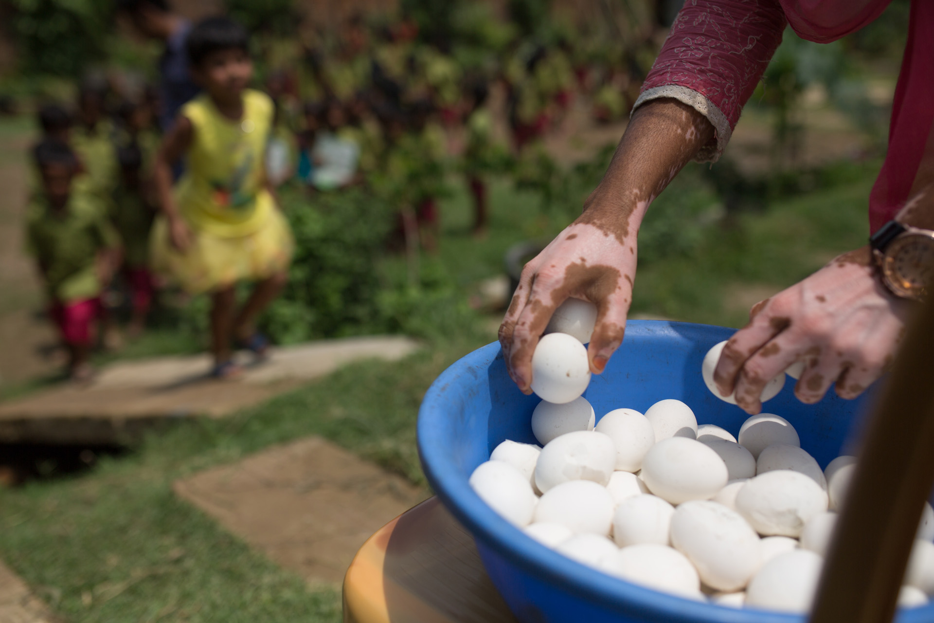 One Egg. One Day. One Learner